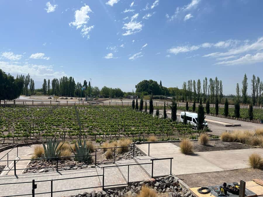 From Mendoza: 3 Wineries, Olive Oil Factory Tour & Tasting - The 2 p.m. pickup from Mendoza