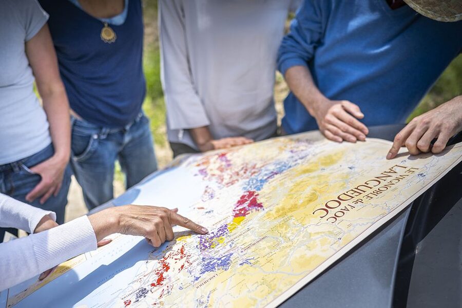 From Montpellier: Wine and Olive Tour - What to bring and how to plan the day