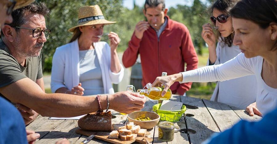 From Montpellier: Wine and Olive Tour - Why this pairing works so well