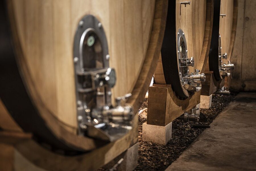 From Montpellier: Wine and Olive Tour - The guide can shape the morning