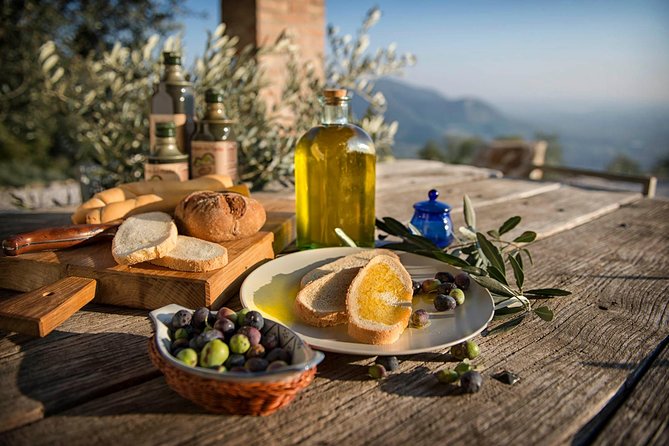 From Padua: Olive Oil & Wine in the Euganean Hills - Key Points to Know Before Booking