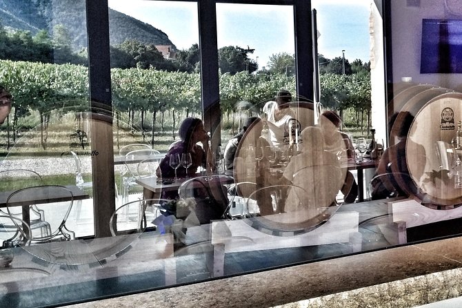 From Padua: Olive Oil & Wine in the Euganean Hills - Why the Euganean Hills Make a Good Escape from Padua