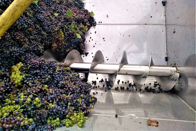 From Padua: Olive Oil & Wine in the Euganean Hills - How the Two Tastings Work Together