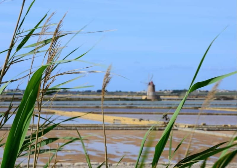 From Palermo: Erice & Marsala Salt, Olive Oil, and Wine Tour - Who should book this experience?