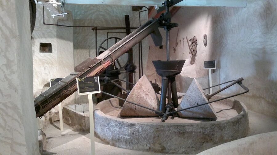 From Seville: Olive Oil Farm Tour - Key points to know before booking