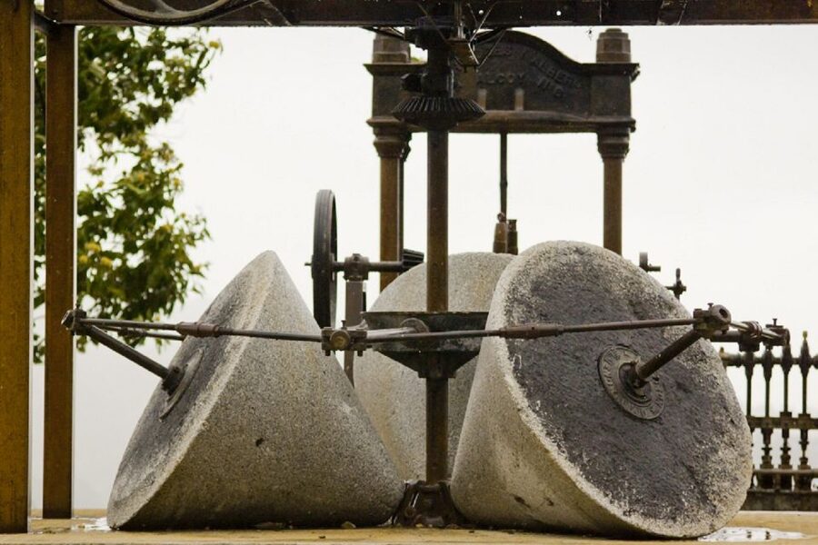 From Seville: Olive Oil Farm Tour - From Seville to an Andalusian olive farm