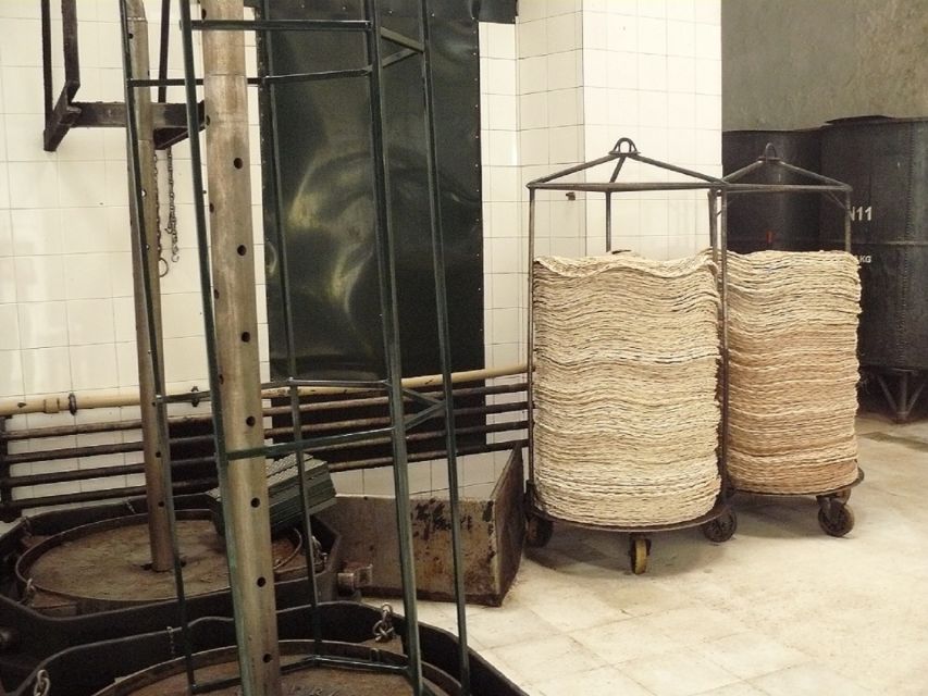 From Seville: Olive Oil Farm Tour - Who will enjoy this outing?