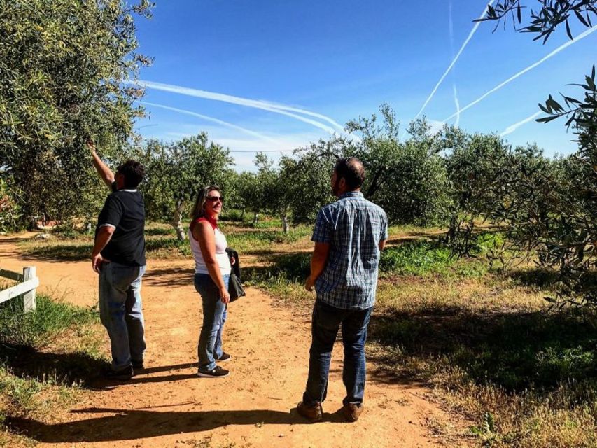 From Seville: Olive Oil Farm Tour - FAQ