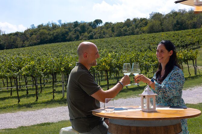 From Venice: Olive Oil & Wine Tour in the Venetian Hills - What the price includes at $174.60