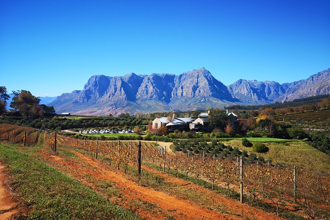 Full-Day Chocolate, Cheese, Olive and Wine Tour from Stellenbosch - Tasting through three wine regions
