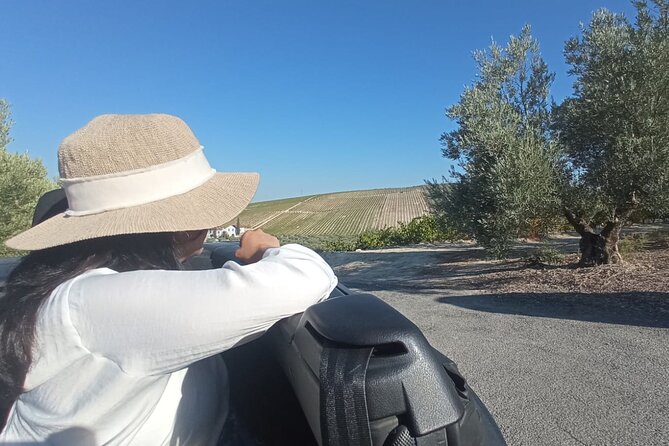 Full day in Cordoba between Vineyards and Olive Trees with a Convertible Car - A full day built around Montilla’s flavors