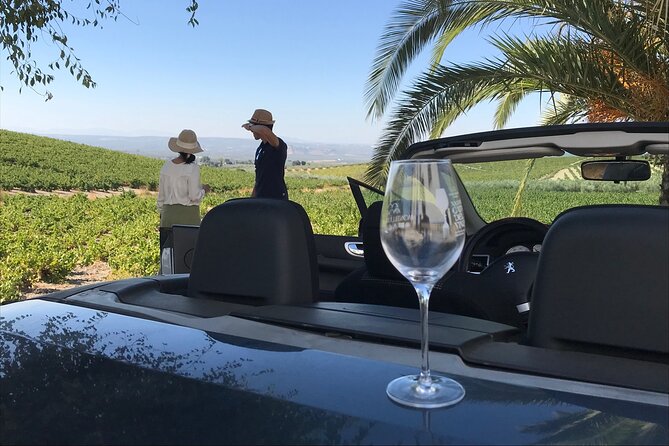 Full day in Cordoba between Vineyards and Olive Trees with a Convertible Car - Tasting four wines in the vineyard