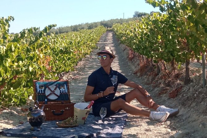 Full day in Cordoba between Vineyards and Olive Trees with a Convertible Car - Morning among Montilla’s olive trees