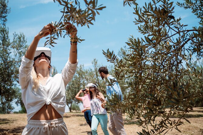 Full-Day Private Tour Corinth and Olive Oil Tasting from Athens - Is $234.57 per person fair value?