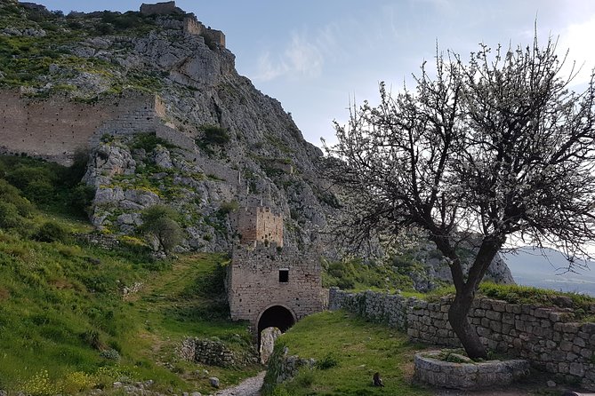 Full day tour Ancient Corinth with wine or olive oil tasting - The tasting: wine, olive oil, and a slower finish
