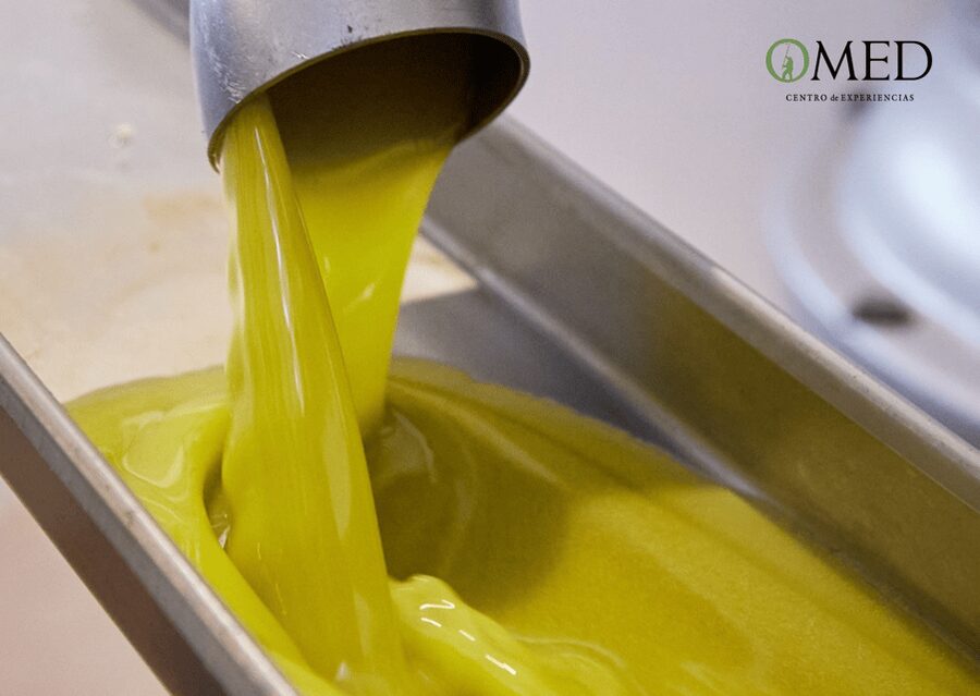 Granada in EVOO: Olive grove guided tour and sensory tasting - FAQ