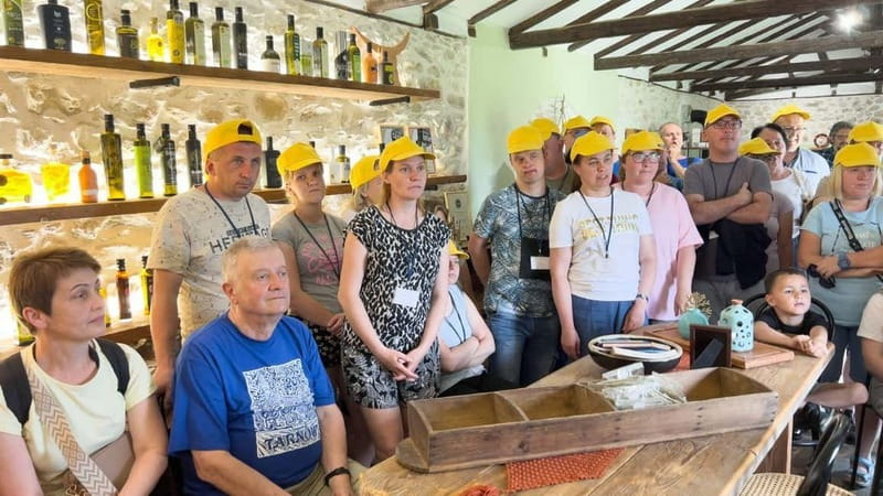 Greece in a Drop: Olive Grove Walk and Olive Oil Tasting - Dimitris, Costantino, and the small-group advantage