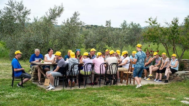 Greece in a Drop: Olive Grove Walk and Olive Oil Tasting - Who should book this experience?
