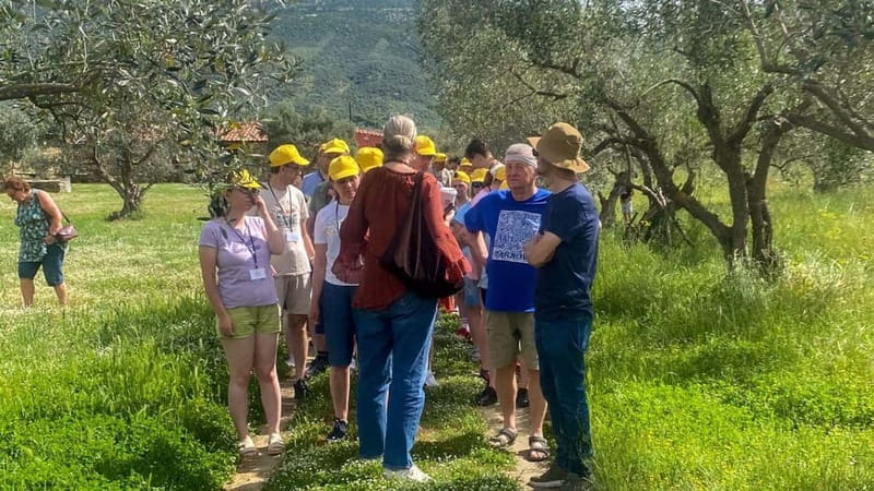Greece in a Drop: Olive Grove Walk and Olive Oil Tasting - The final call on Aloades Estate