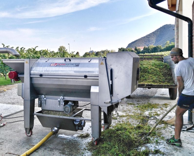 Guided Olive Oil & Wine Tour From Padua - Key points to know before booking