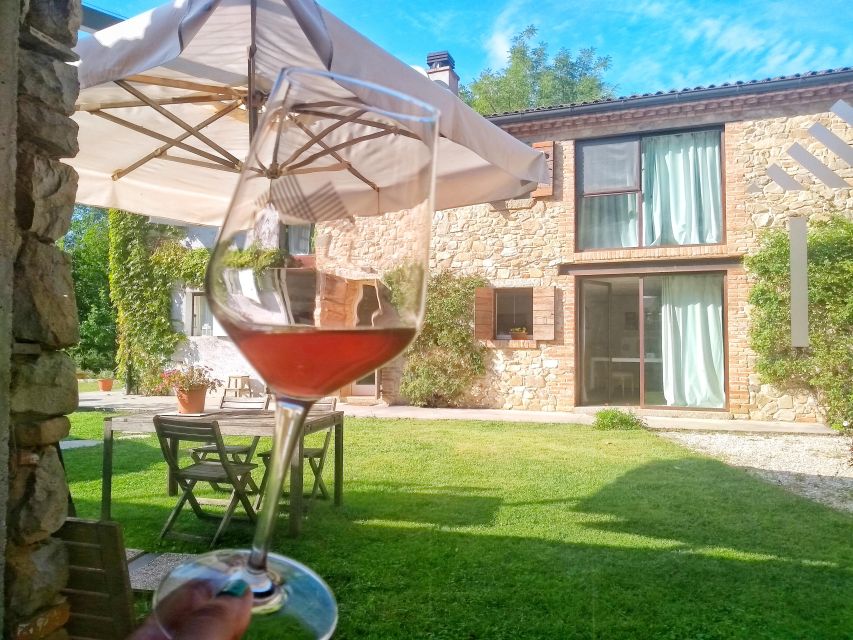 Guided Olive Oil & Wine Tour From Padua - From Padua to the Euganean Hills