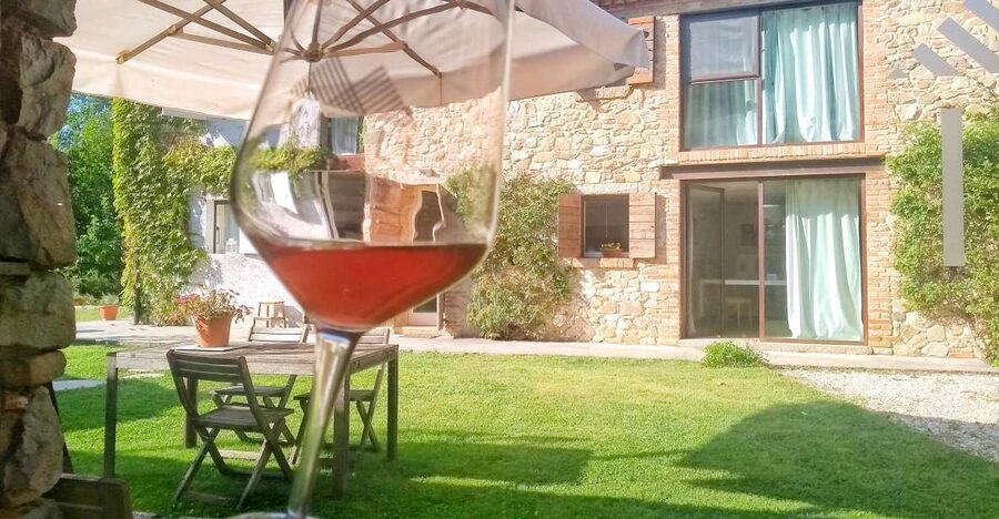 Guided Olive Oil & Wine Tour From Padua - The winery, vineyard, and barrel room