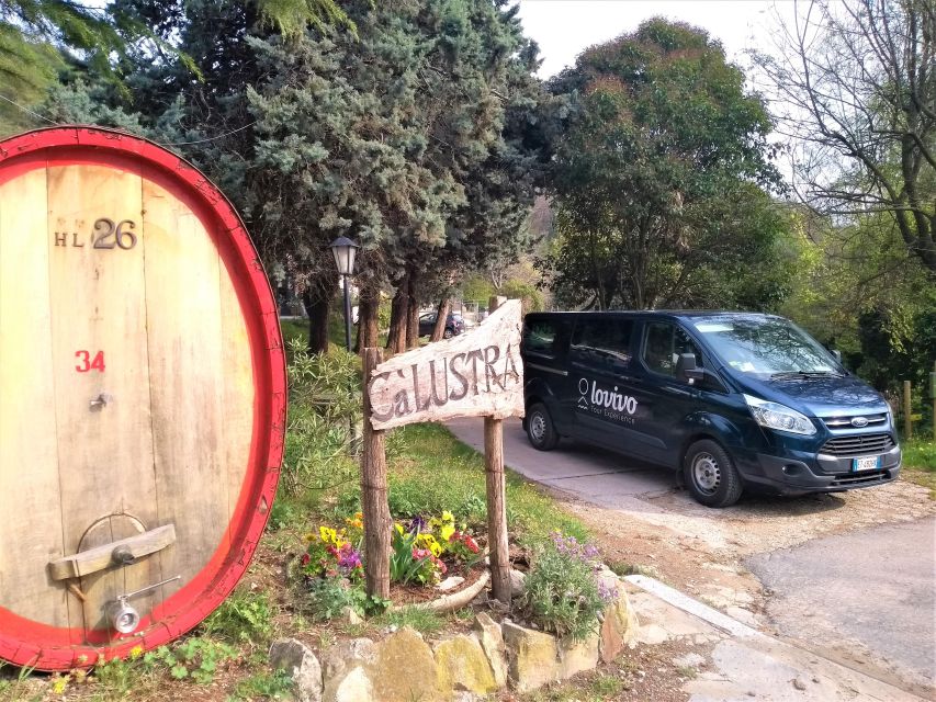 Guided Olive Oil & Wine Tour From Padua - Who should book this experience?