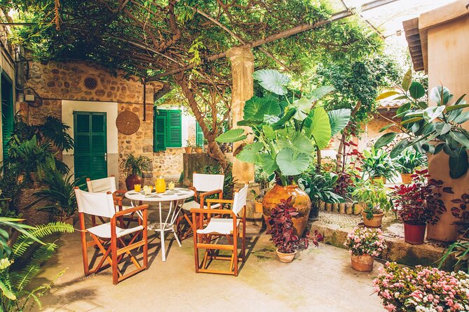 Guided Tasting Tour in 16th century House and Olive Oil Factory - A Family Story Told Through Olive Trees and Citrus