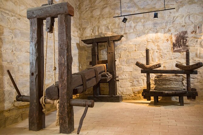 Guided tour of the Museum of Olive Culture Oil Tasting - Key points at a glance