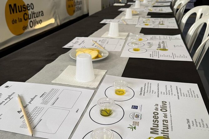 Guided tour of the Museum of Olive Culture Oil Tasting - What the two-hour schedule feels like