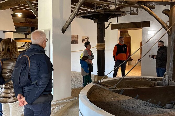 Guided tour of the Museum of Olive Culture Oil Tasting - Is $17.94 a fair price?