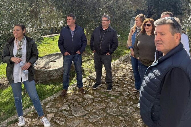 Guided tour of the Museum of Olive Culture Oil Tasting - Who will enjoy this museum and tasting