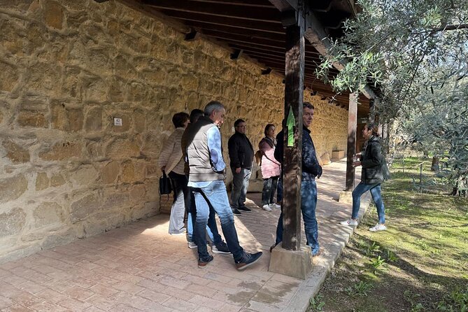 Guided tour of the Museum of Olive Culture Oil Tasting - The olive garden and its 30 varieties