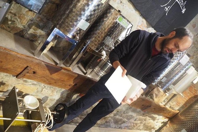 Guided tours of the olive grove with oil tasting. - Key points to know before you book