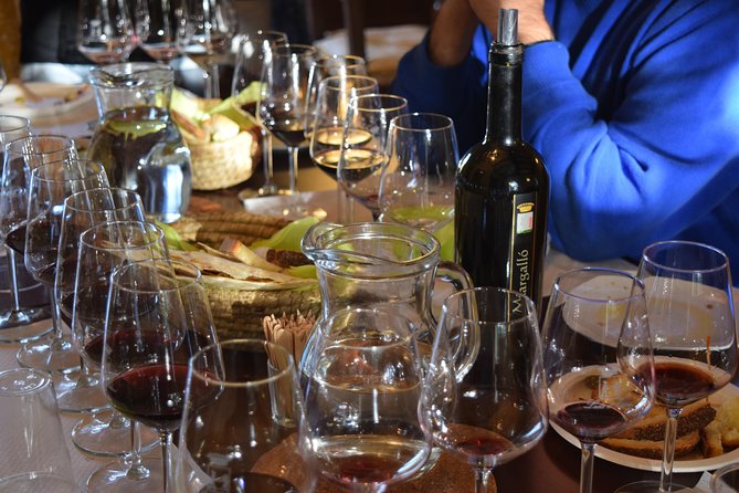 Guided Wine and Olive oil tasting - Valeria, Monica, and the tone of the visit