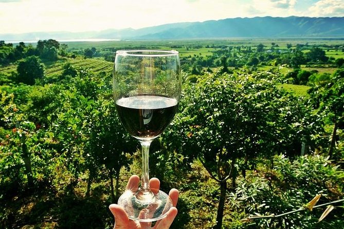 Half-Day Chianti Wine and Olive Oil Tour from Viareggio - From Viareggio’s coast to Vinci’s hills