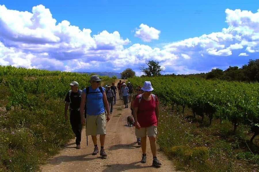 Half Day Tour of Wineries and Olive Oil from Mendoza - Key points to know before booking