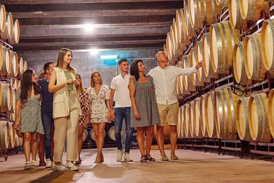 Half Day Tour of Wineries and Olive Oil from Mendoza - Why Maipú makes sense for a short Mendoza tour