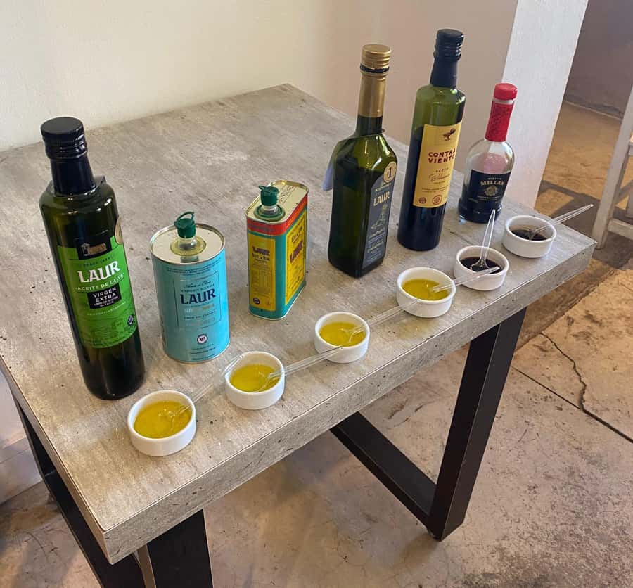 Half Day Tour of Wineries and Olive Oil from Mendoza - Should you book the Maipú wine and olive oil tour?
