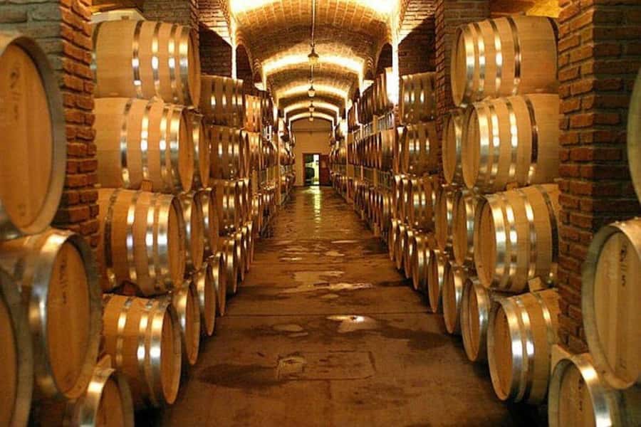 Half Day Tour of Wineries and Olive Oil from Mendoza - Starting with pickup from Mendoza