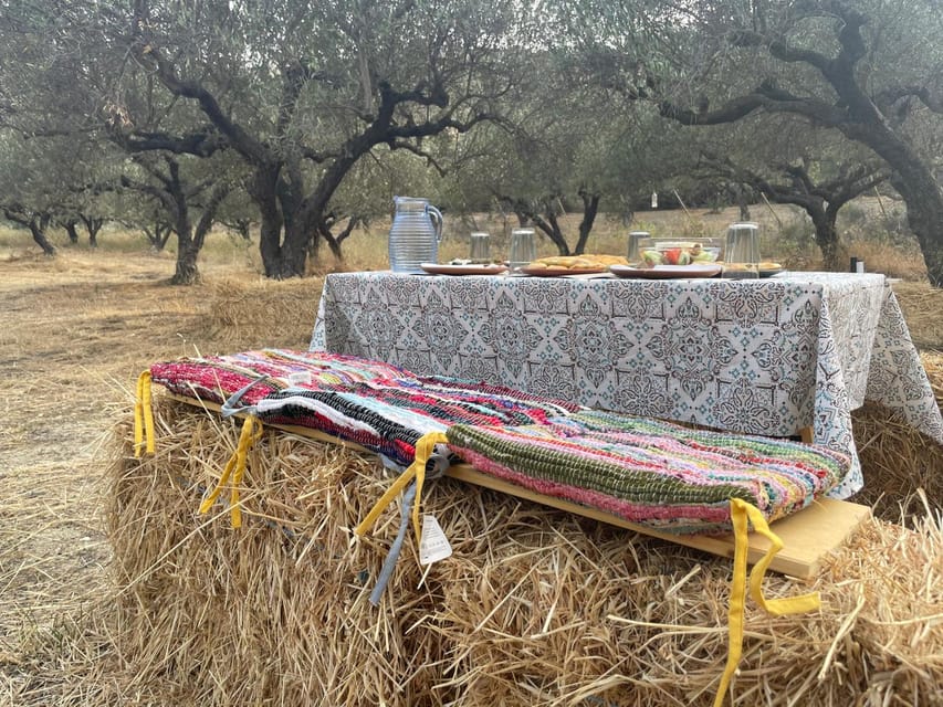 Heraklion: Cretan Farmers Brunch and Olive Grove Tour - Walking among the olive trees