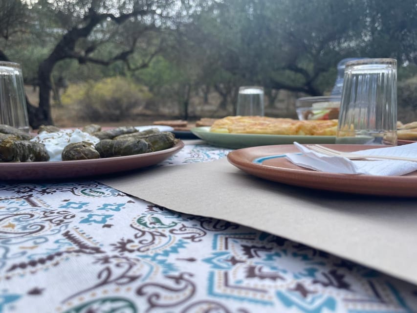 Heraklion: Cretan Farmers Brunch and Olive Grove Tour - Why the dragon fruit stop is worth your attention