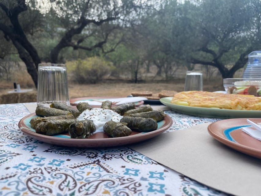 Heraklion: Cretan Farmers Brunch and Olive Grove Tour - A short visit with enough time to eat properly