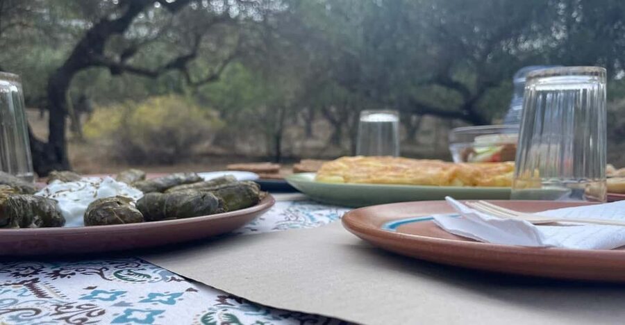 Heraklion: Cretan Farmers Brunch and Olive Grove Tour - Meeting Alex at the olive grove and dragon fruit farm