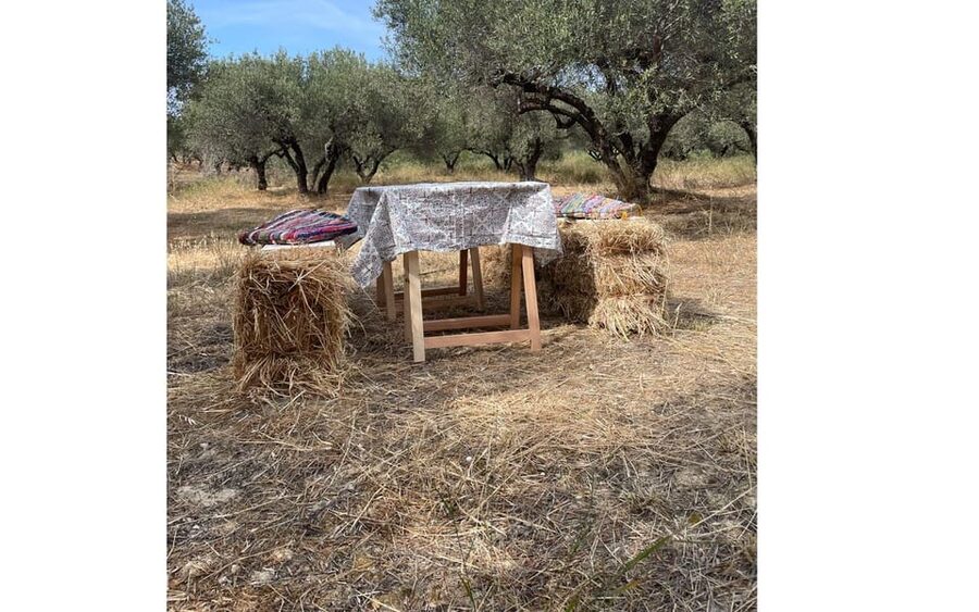 Heraklion :Olive & Dragon Farm Tour & Cretan Farmers Brunch - Dragon fruit brings a modern twist