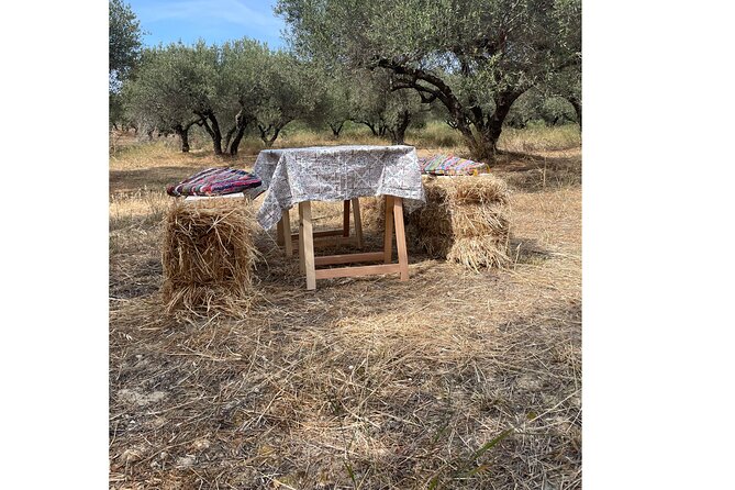 Heraklion:Olive & Dragon Fruit Farm Tour & Cretan Farmers Brunch - The Cretan farmer’s brunch beneath the trees