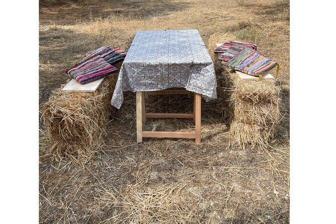 Heraklion:Olive & Dragon Fruit Farm Tour & Cretan Farmers Brunch - Why the private format matters