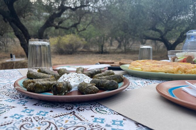 Heraklion:Olive & Dragon Fruit Farm Tour & Cretan Farmers Brunch - Walking through the olive grove