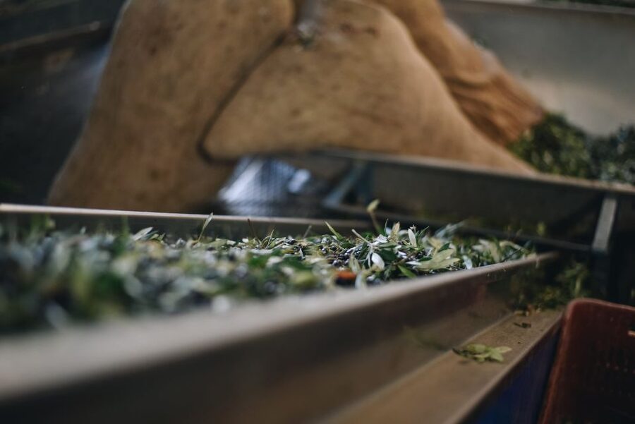 Heraklion: Olive Farm Tour with Tasting of Local Delicacies - Inside the modern olive mill