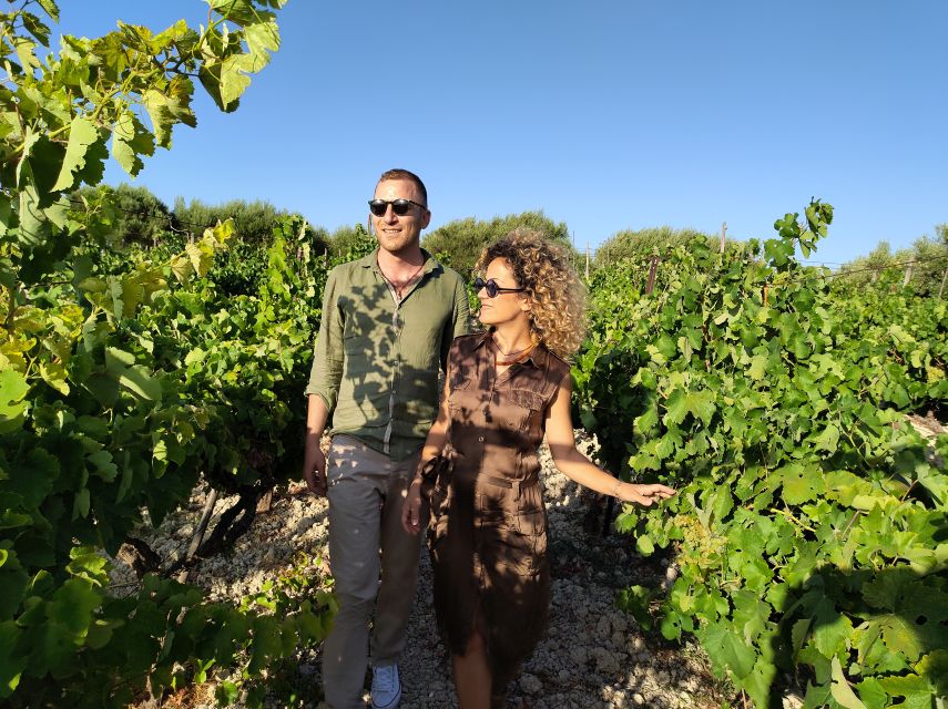 Heraklion: Olive oil and Wine Tour with Lunch - Who should book this experience?